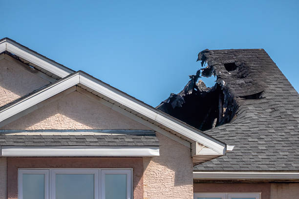 Licensed Fire Damage Removal service in Mayer, MN - Fire Damage Biloxi